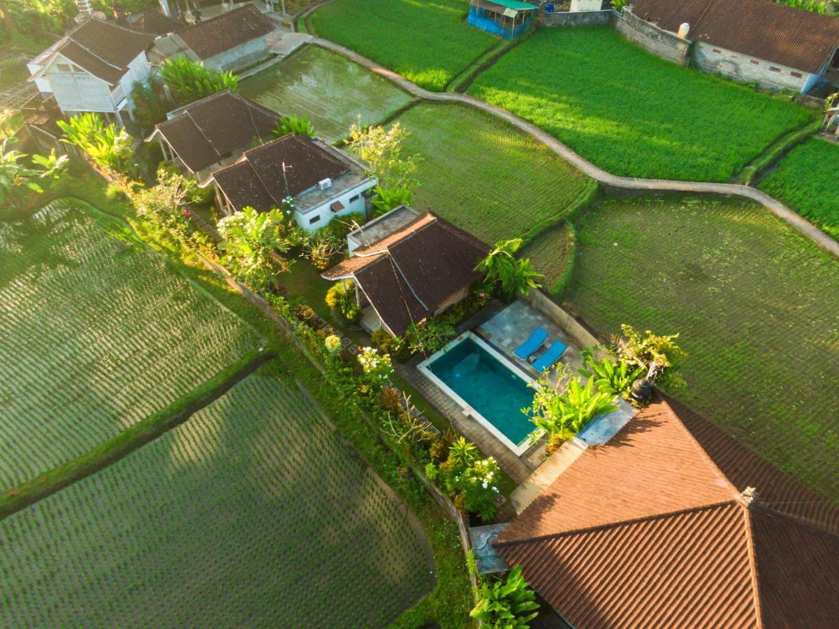 Ubud Glassy Villa By Pramana Villas エクステリア 写真
